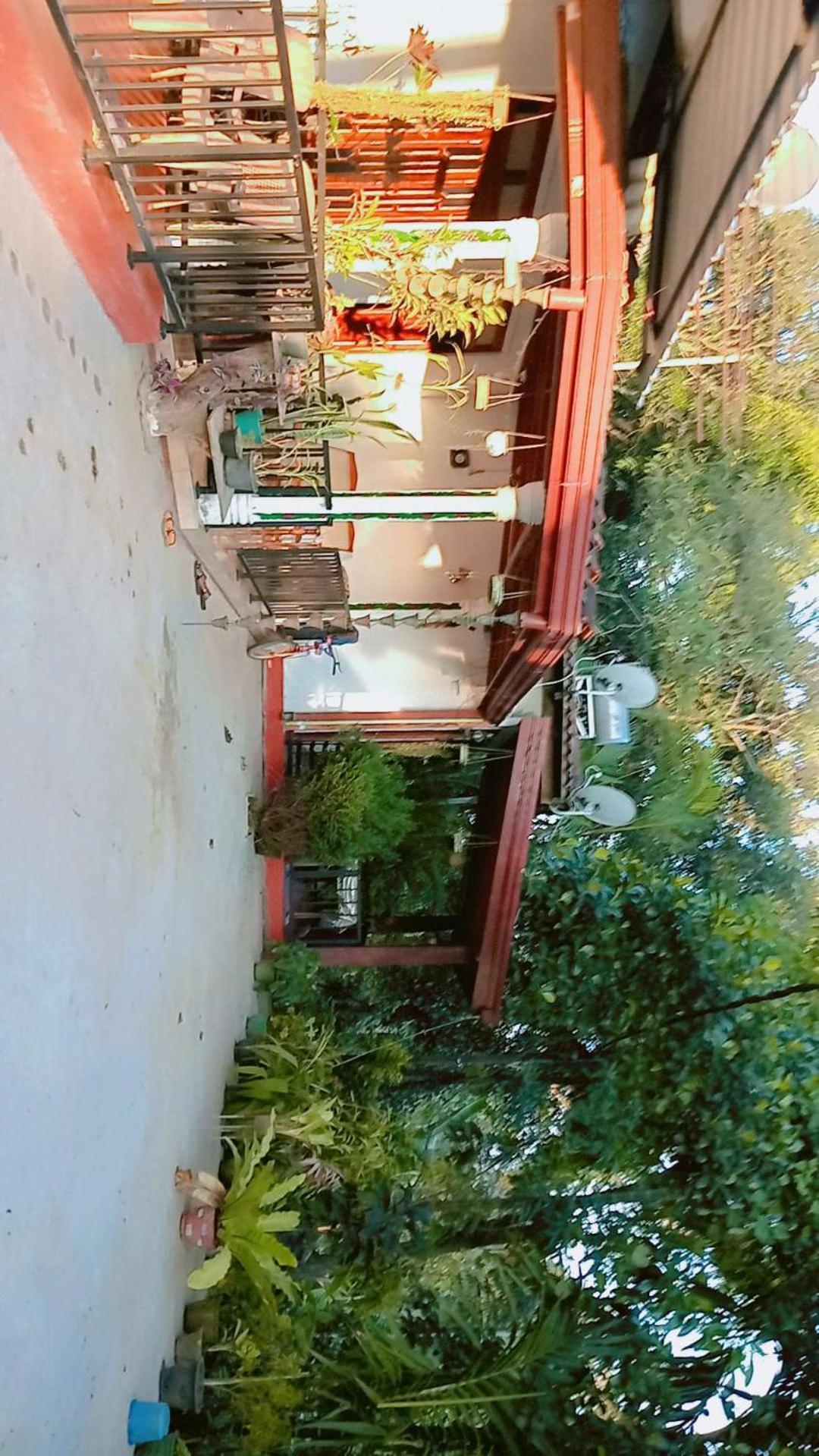 לינה וארוחת בוקר אלה Littleadems View מראה חיצוני תמונה